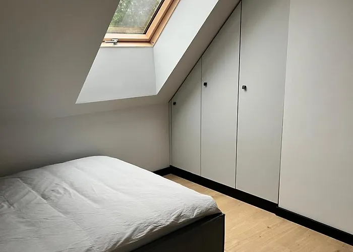 Villa Wiselkowe Zacisze